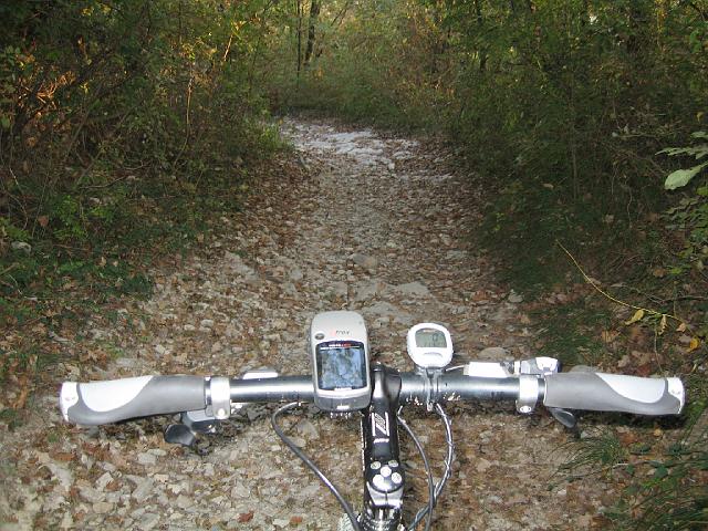 bici 037.JPG